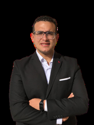 Eng. Mina Helmy Melad